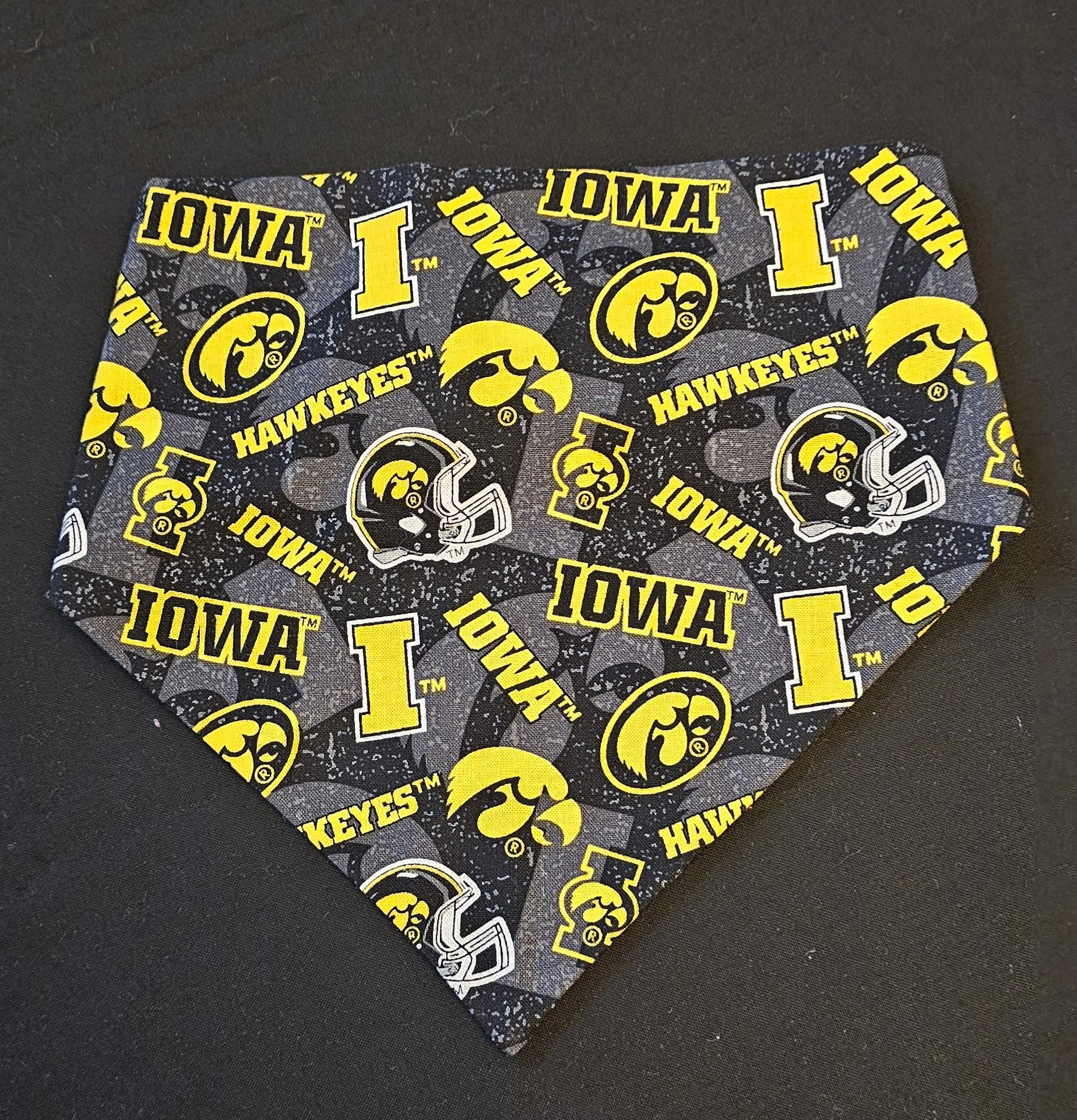 Iowa Hawkeyes Bandana 🦅 -  Tailgates & Tails Collection