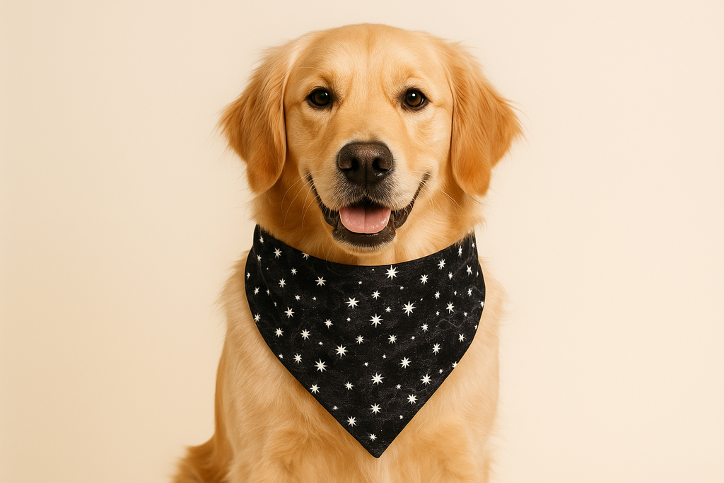 Dog wearing the starry night bandana
